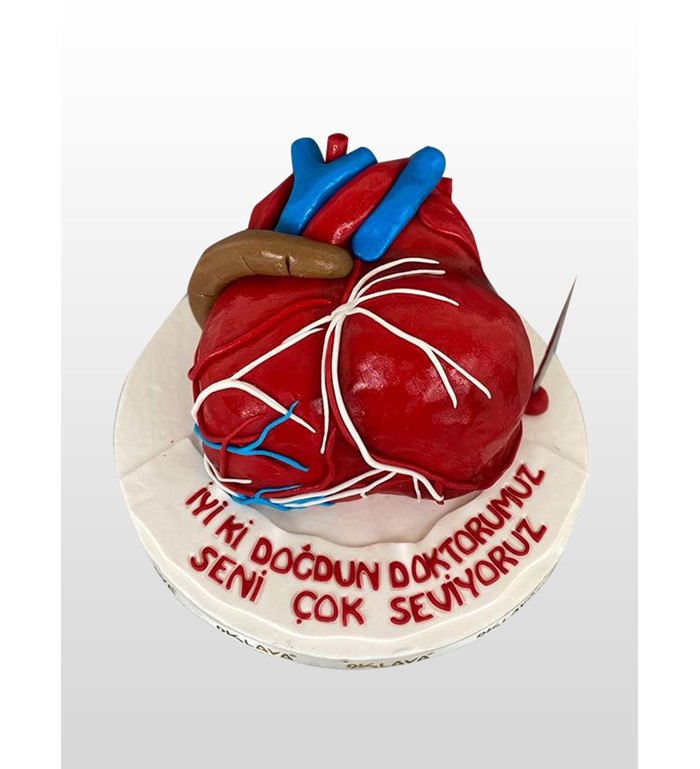 kalp doktoru doğum günü pastası, doğum günü pastası