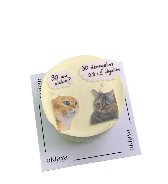 Kedi Pastası, Yazılı Pasta, Kedili Retro Pasta,Konuşan Pasta